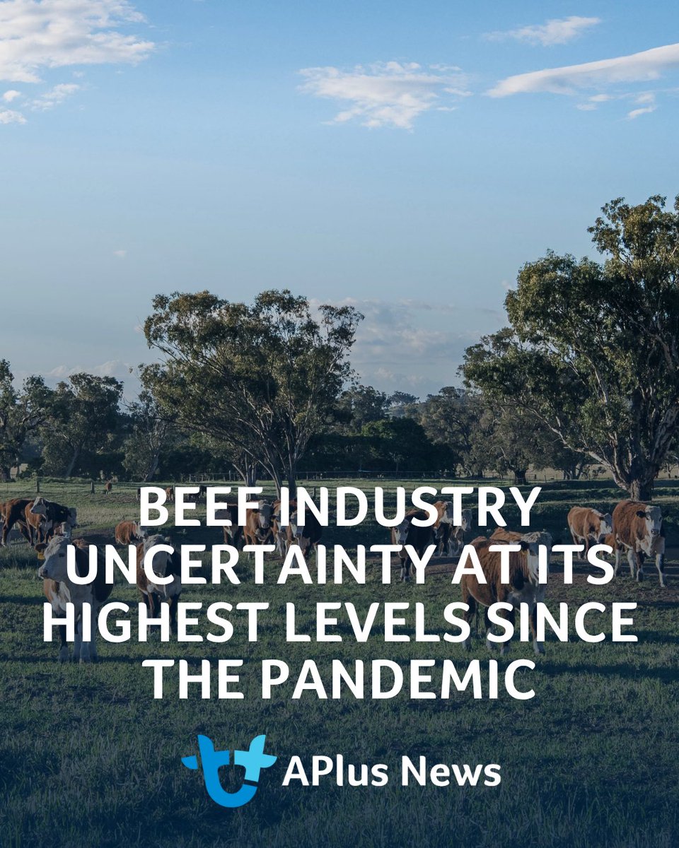 AuctionsPlus tweet media