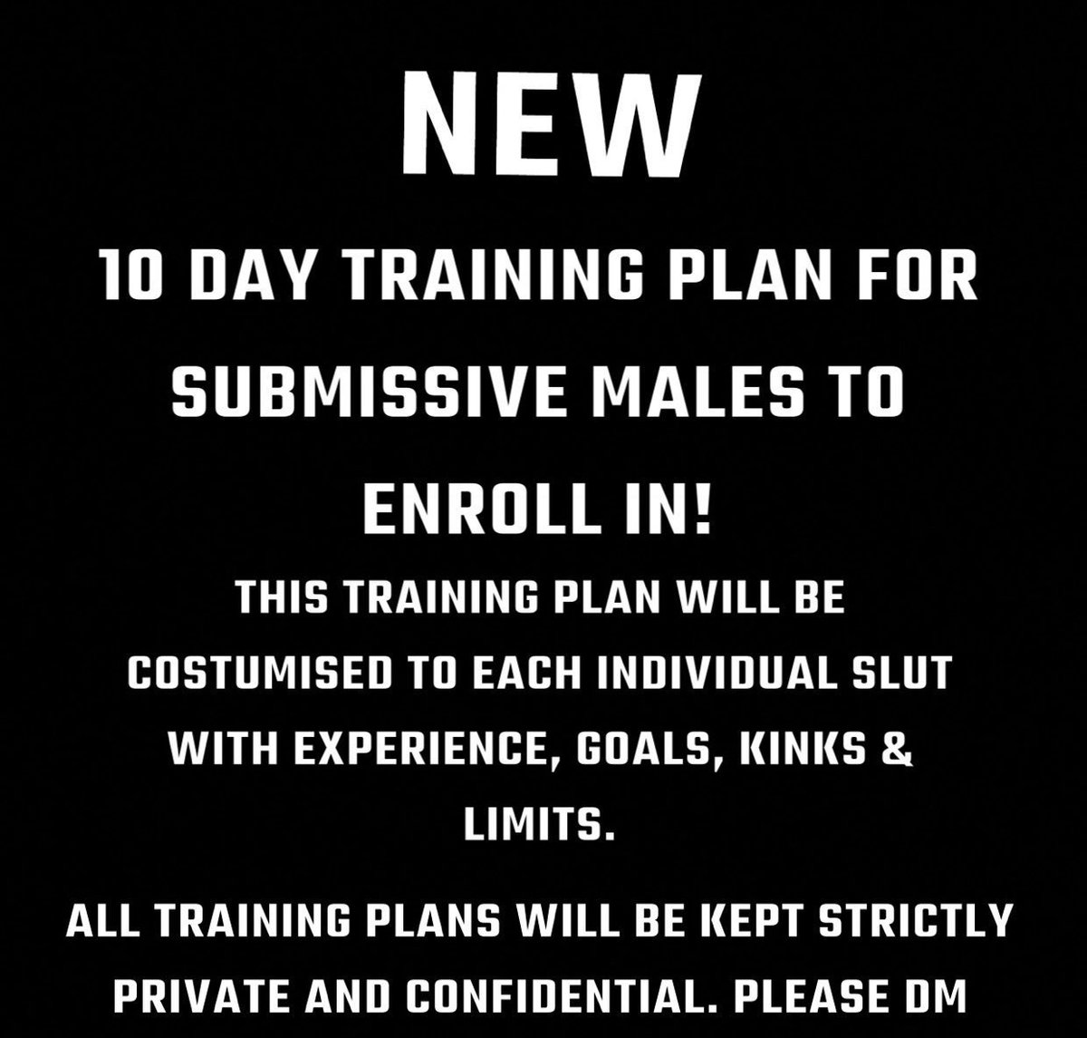 Master Dave tweet media