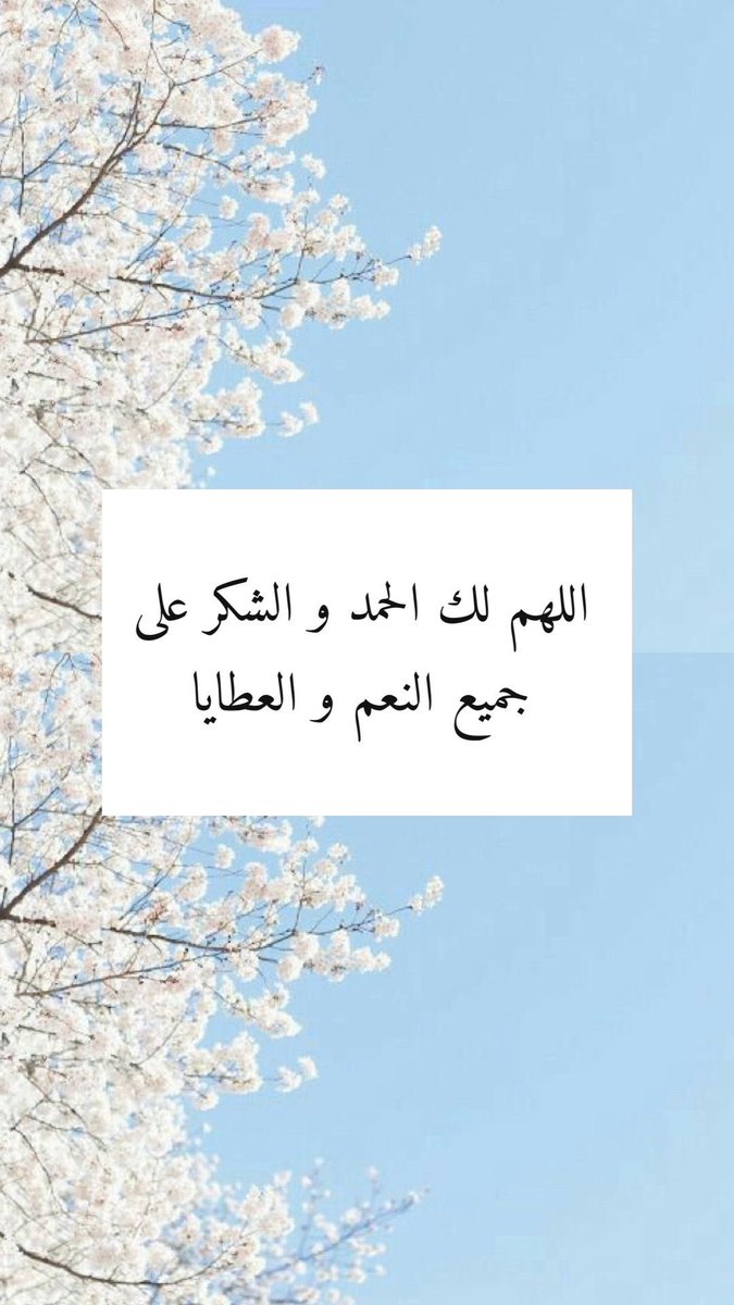 نوف ⚜️🦋 tweet media