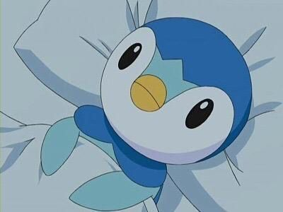 Piplup tweet media