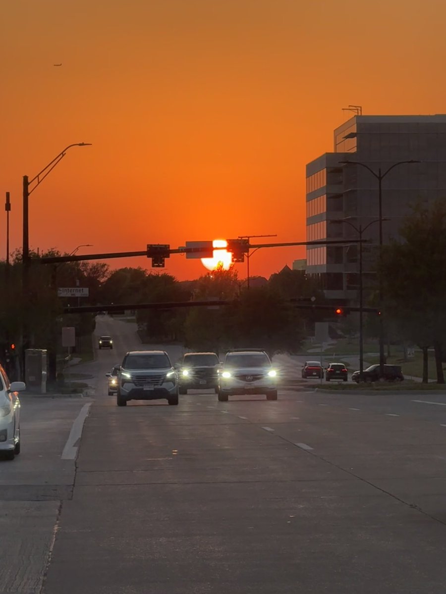 Jeff Keni Pulver 🌻 tweet media