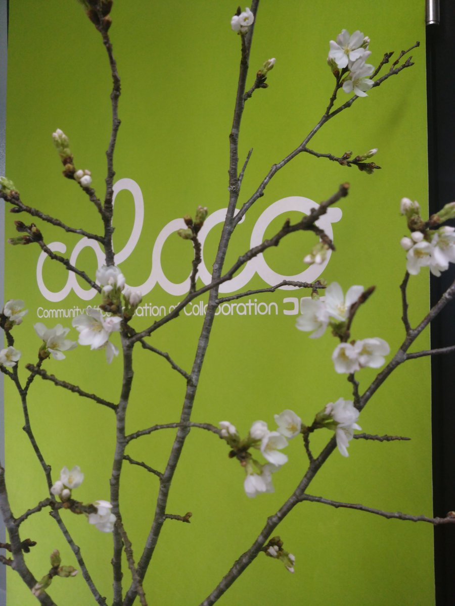 colocoコロコ/神戸市三宮駅シェアオフィス＆コワーキングスペース tweet media