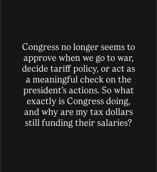 Areana Firefish tweet media