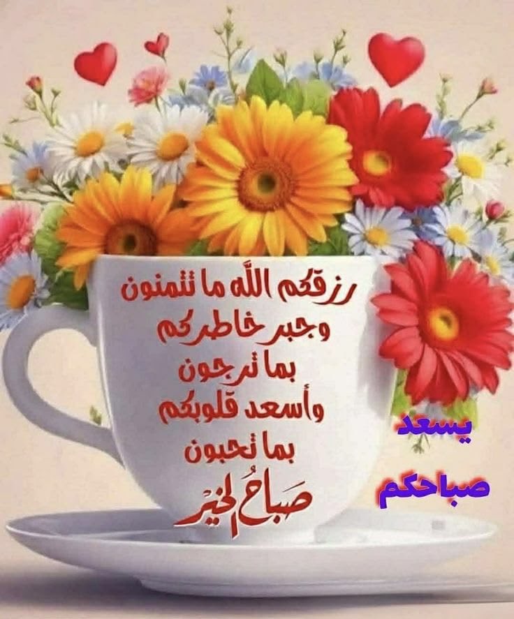 نجمة سدير tweet media