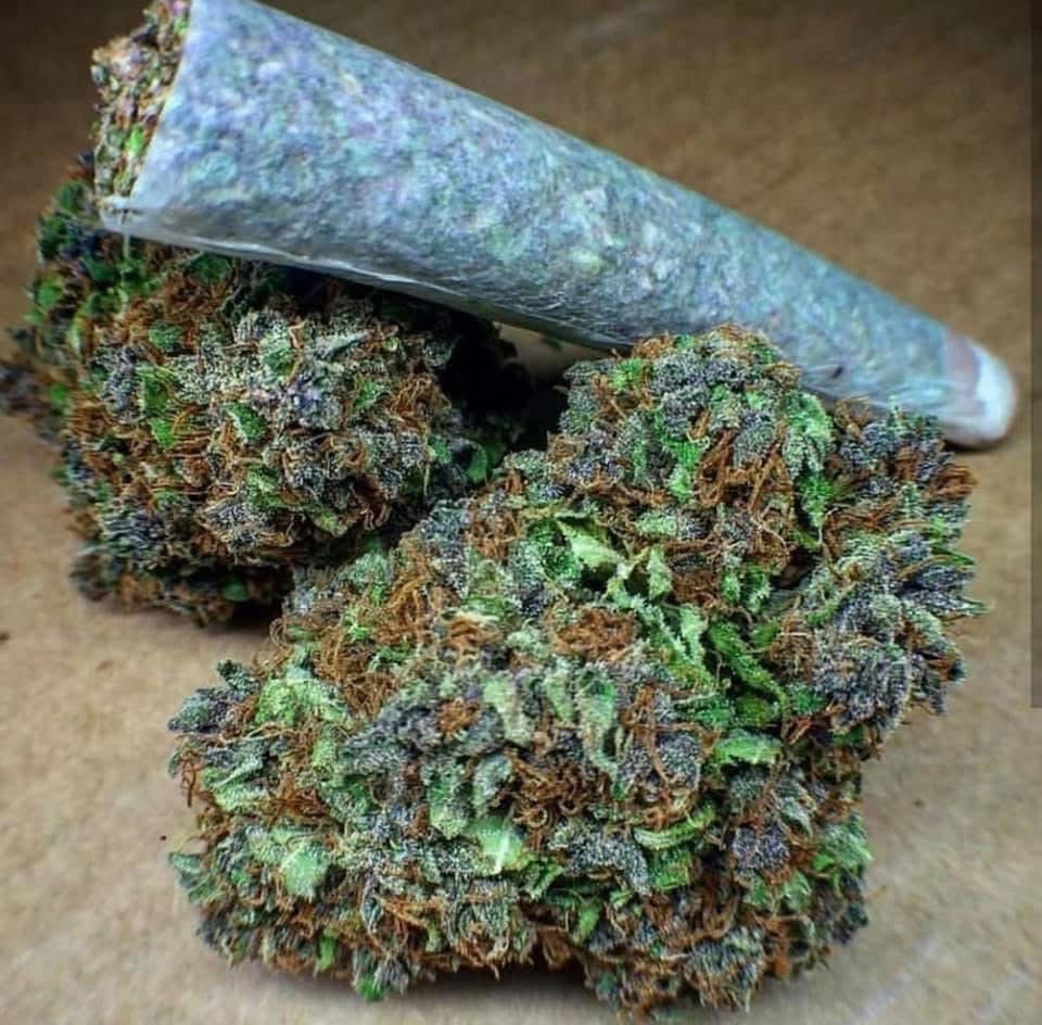 STONERS R US 🍃 tweet media