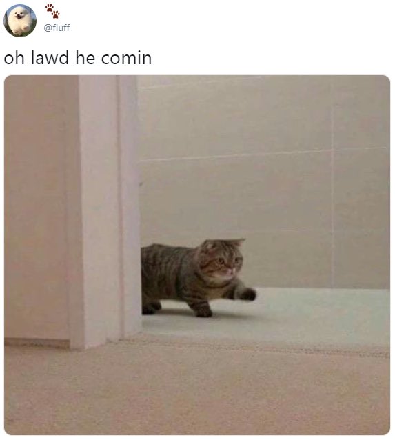 joe schmidt tweet media