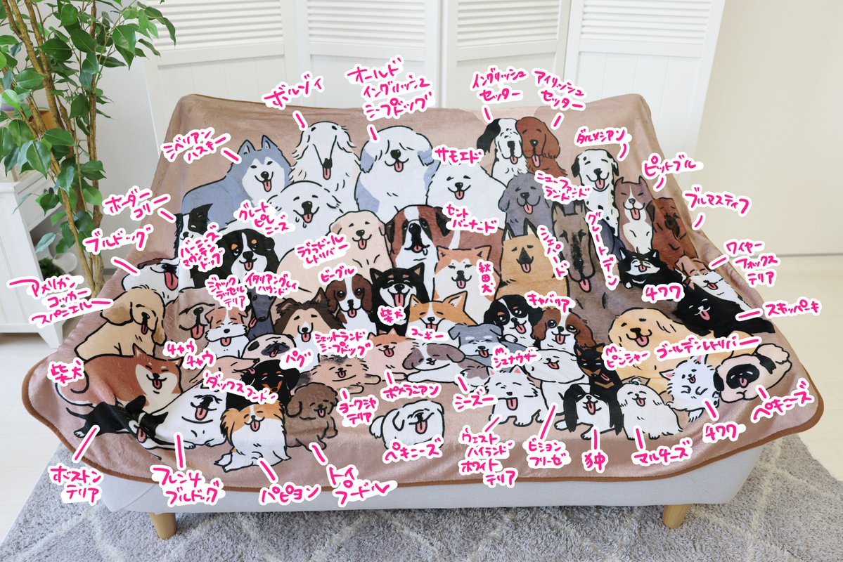 CAMPFIRE Creation(キャンプファイヤー クリエーション)公式 tweet media