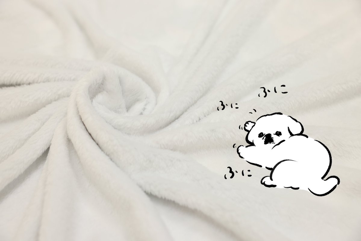 CAMPFIRE Creation(キャンプファイヤー クリエーション)公式 tweet media