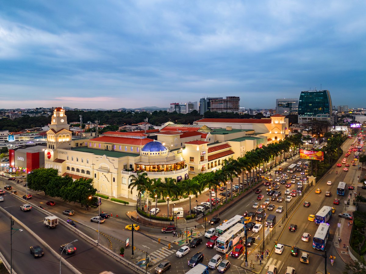 MangoSex tweet media