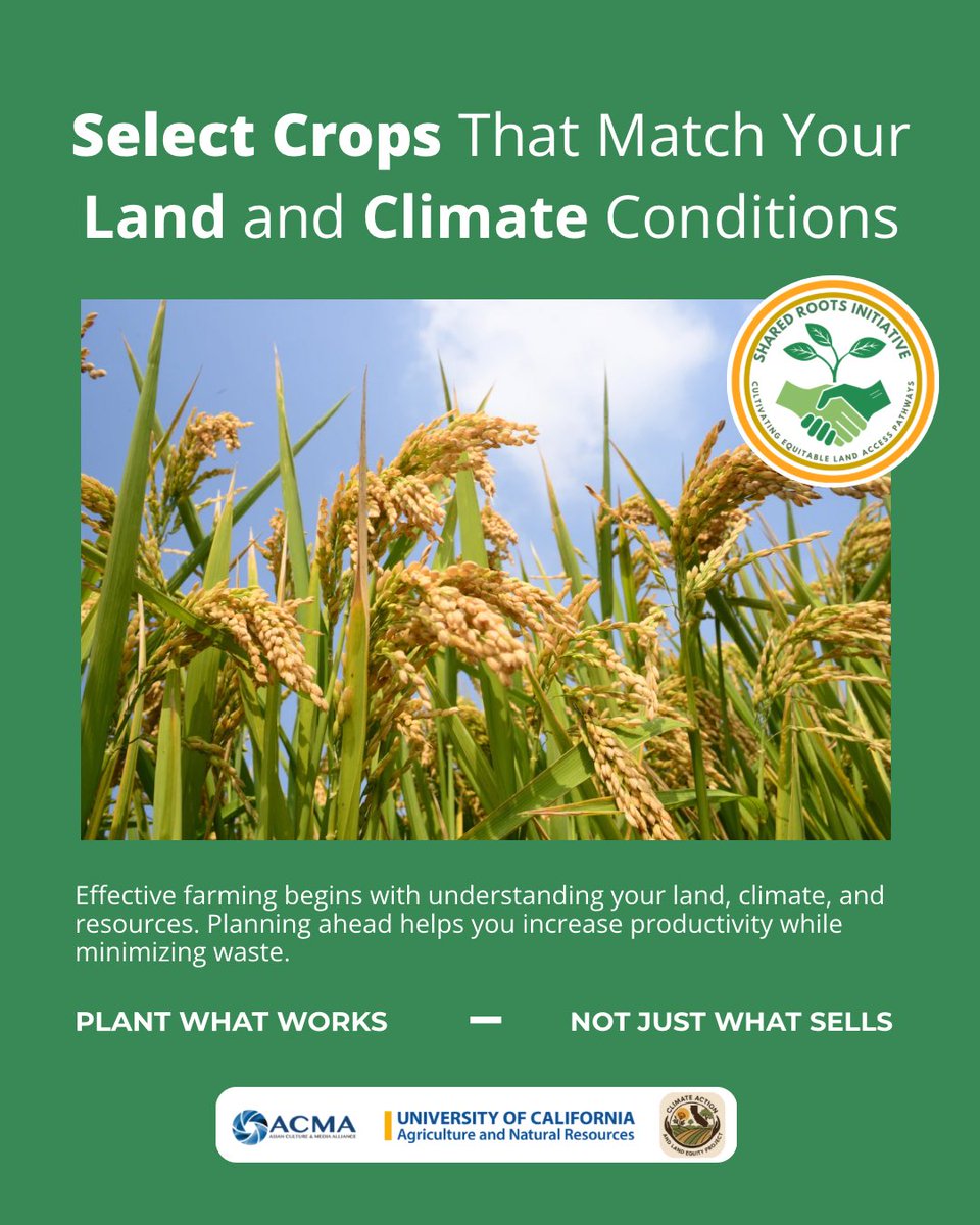 Asian Culture & Media Alliance tweet media