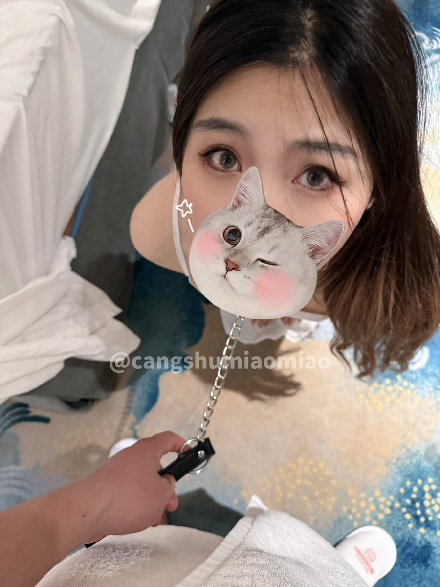 仓鼠和喵喵 tweet media