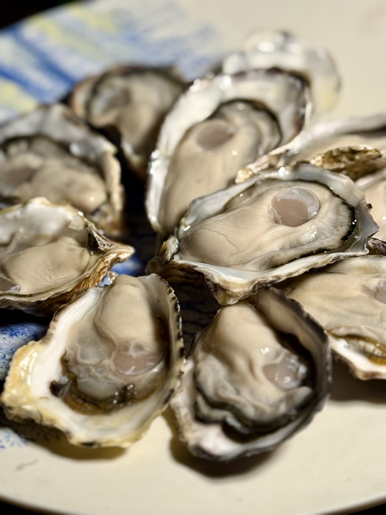 なおきち | 生牡蠣研究所の所長🦪 | Web3 x 牡蠣産業 tweet media