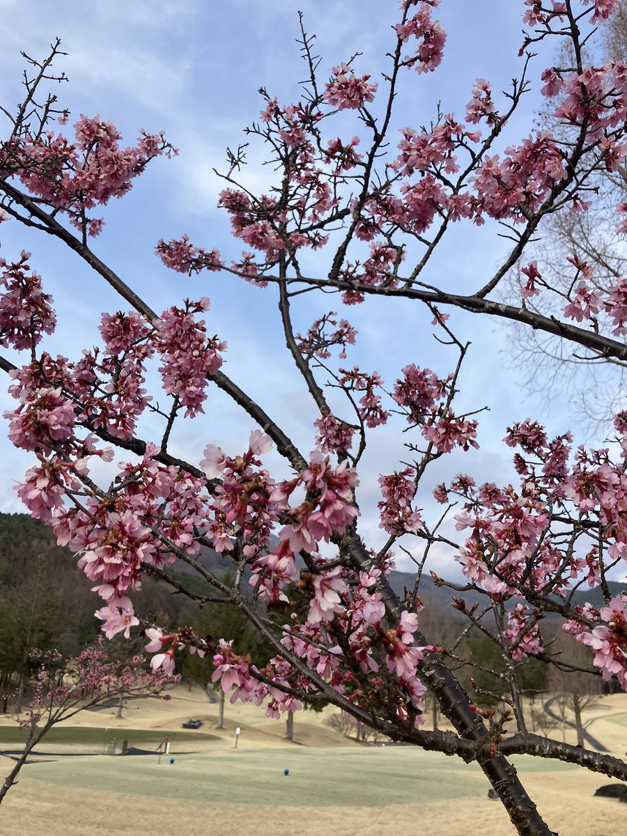 ゆいじぃ tweet media