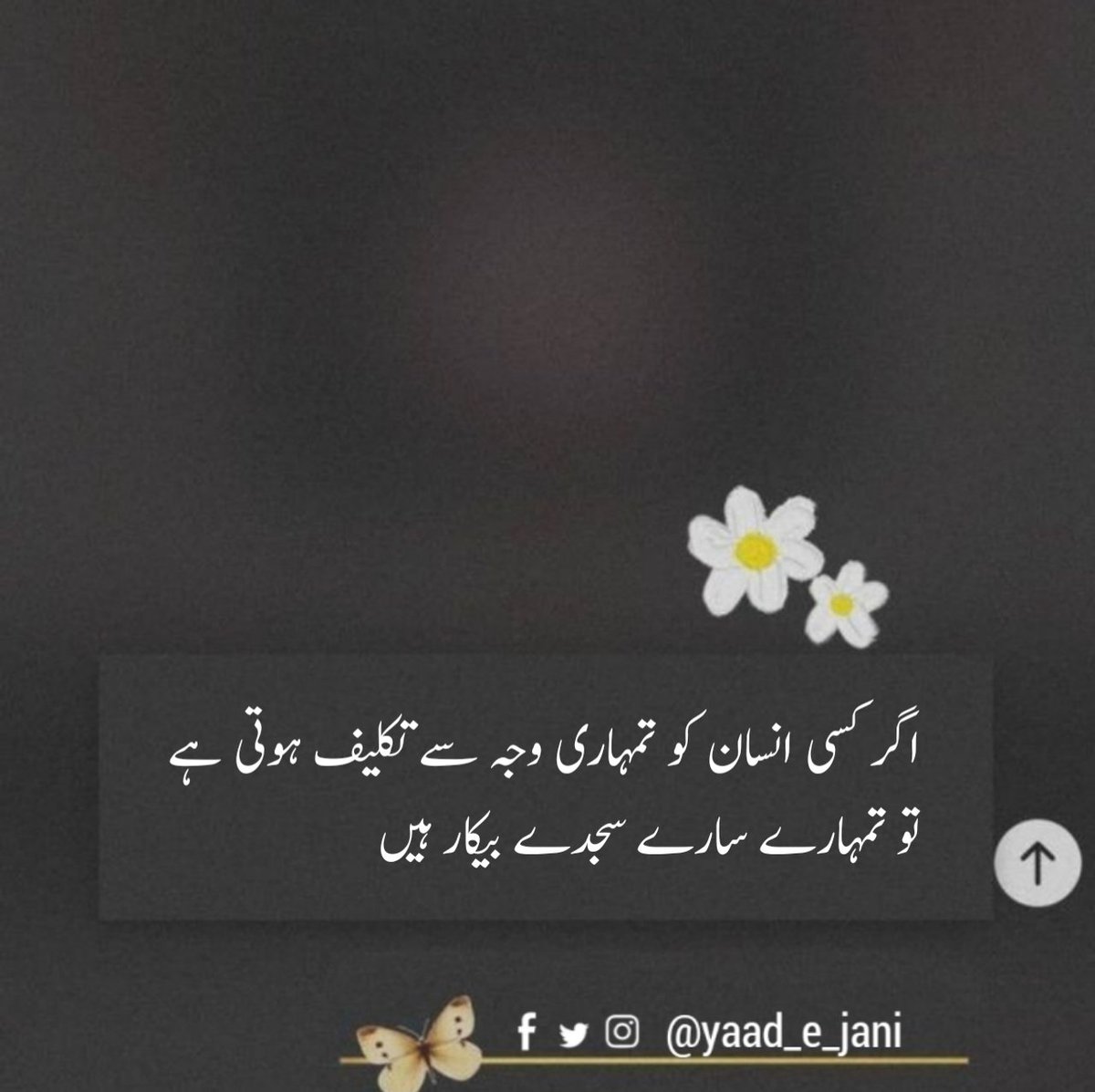 Yaad_e_Jani's tweet photo. اگر کسی انسان کو تمہاری وجہ سے تکلیف ہوتی ہے 
تو تمہارے سارے سجدے بیکار ہیں
•••صبح بخیر ••
#Goodmorning https://t.co/wAask7BcjN