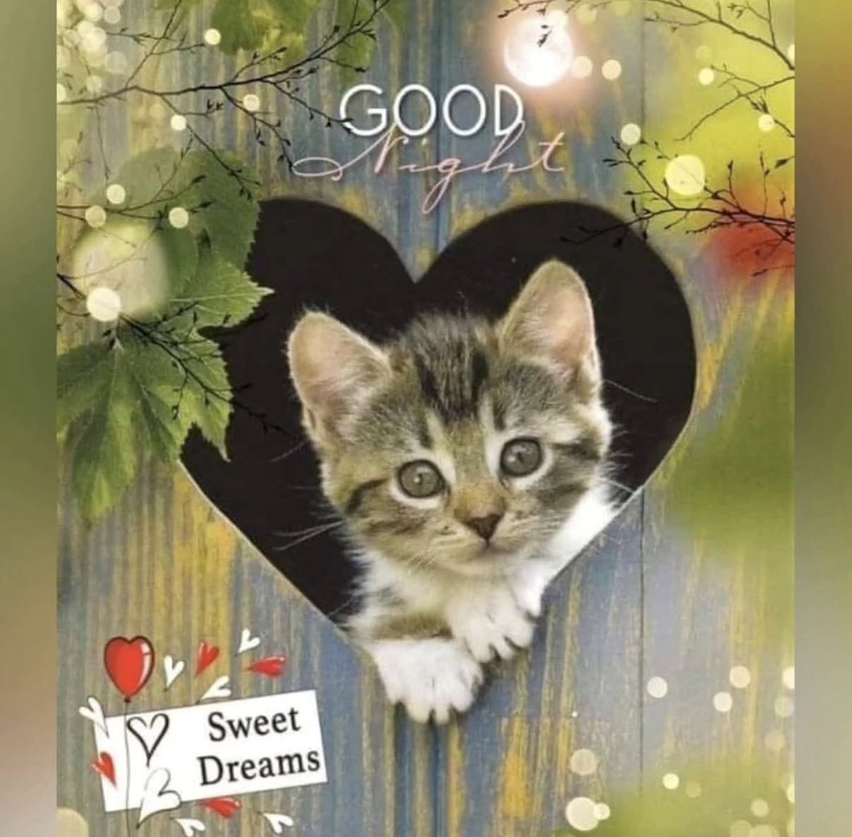 Donna Cox tweet media