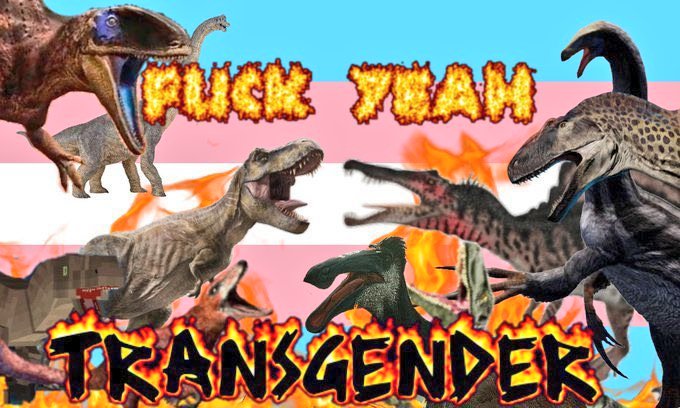 JustGabi 🏳️‍⚧️🍉🐦‍⬛ tweet media