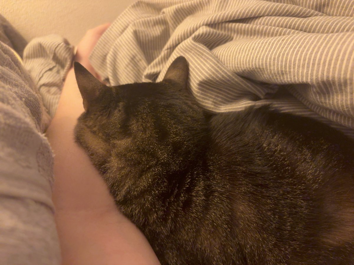 Ayano🥛 tweet media