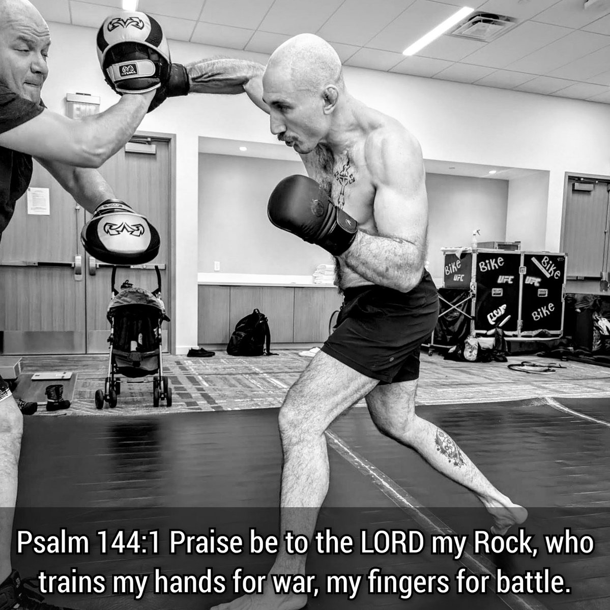 Kyle The Monster Nelson tweet media