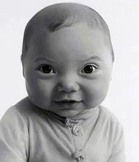 anapollaa tweet media