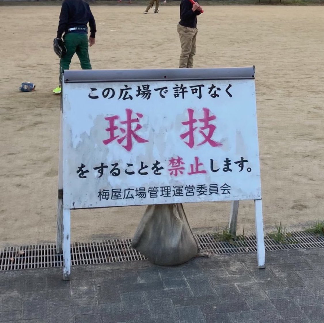 ずっと見ていたい動画 tweet media