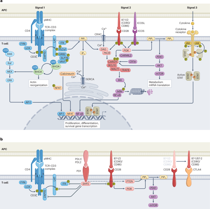 Waggoner Lab tweet media