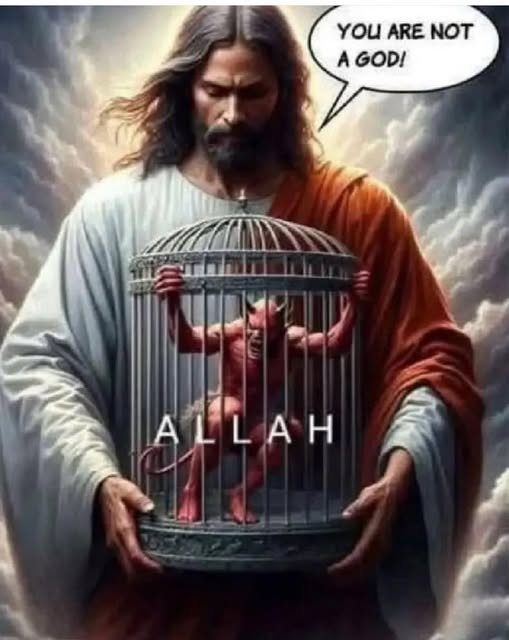 Erica Rich 🇺🇲 🌺 tweet media