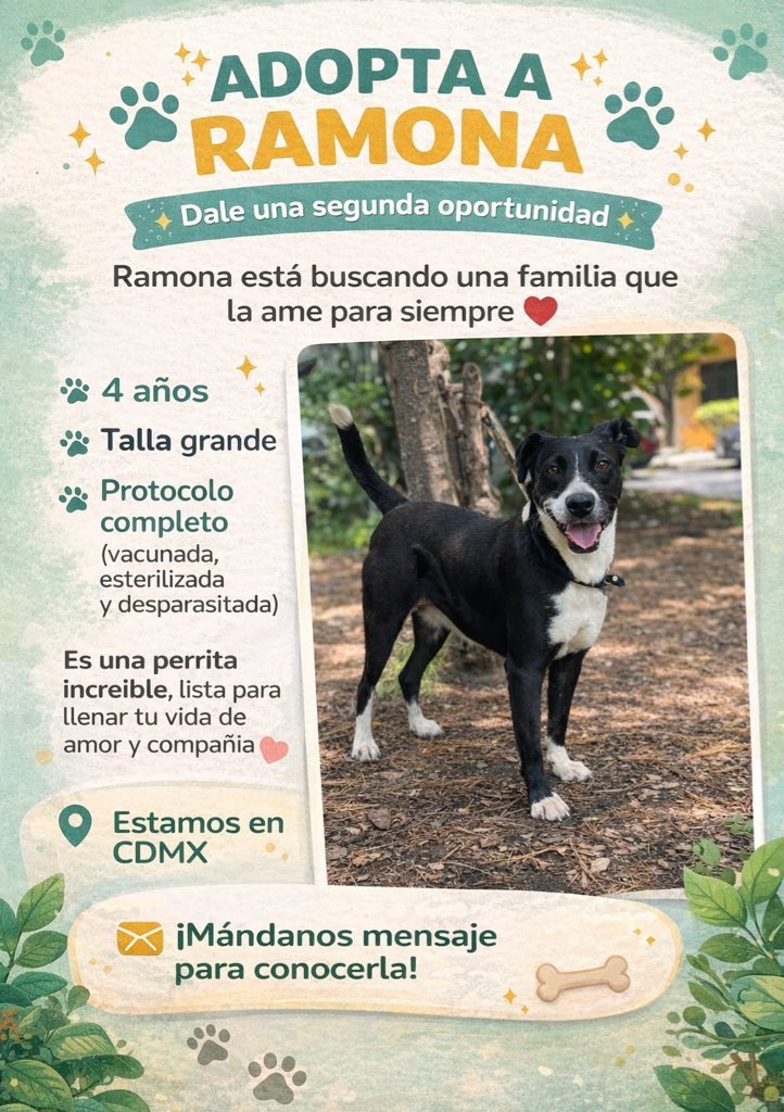 𝙷𝚎𝚕𝚊 𝙼𝚘𝚛𝚎 🐶 tweet media