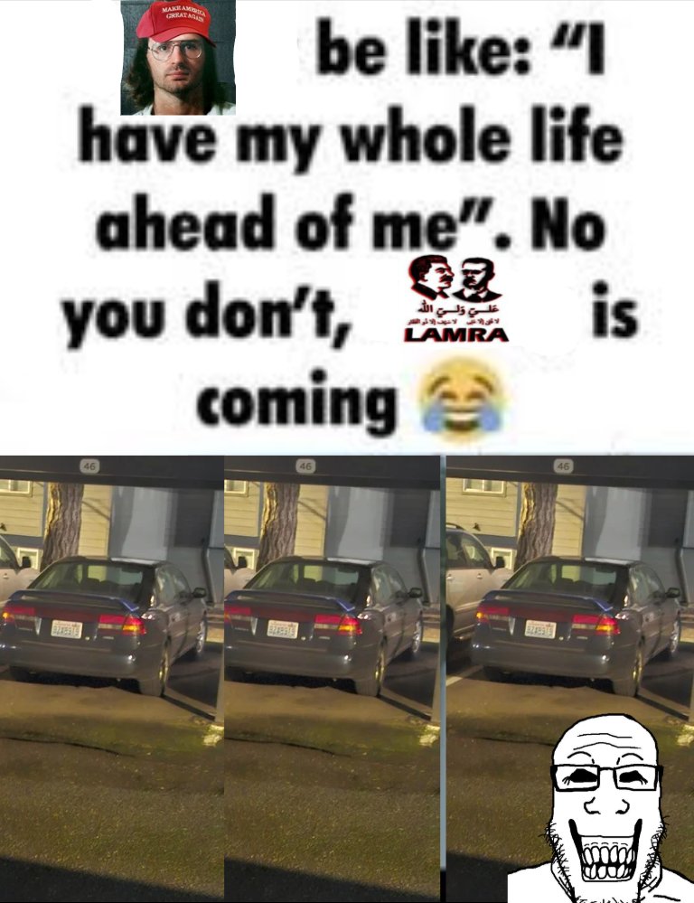 Mushroomdude tweet media