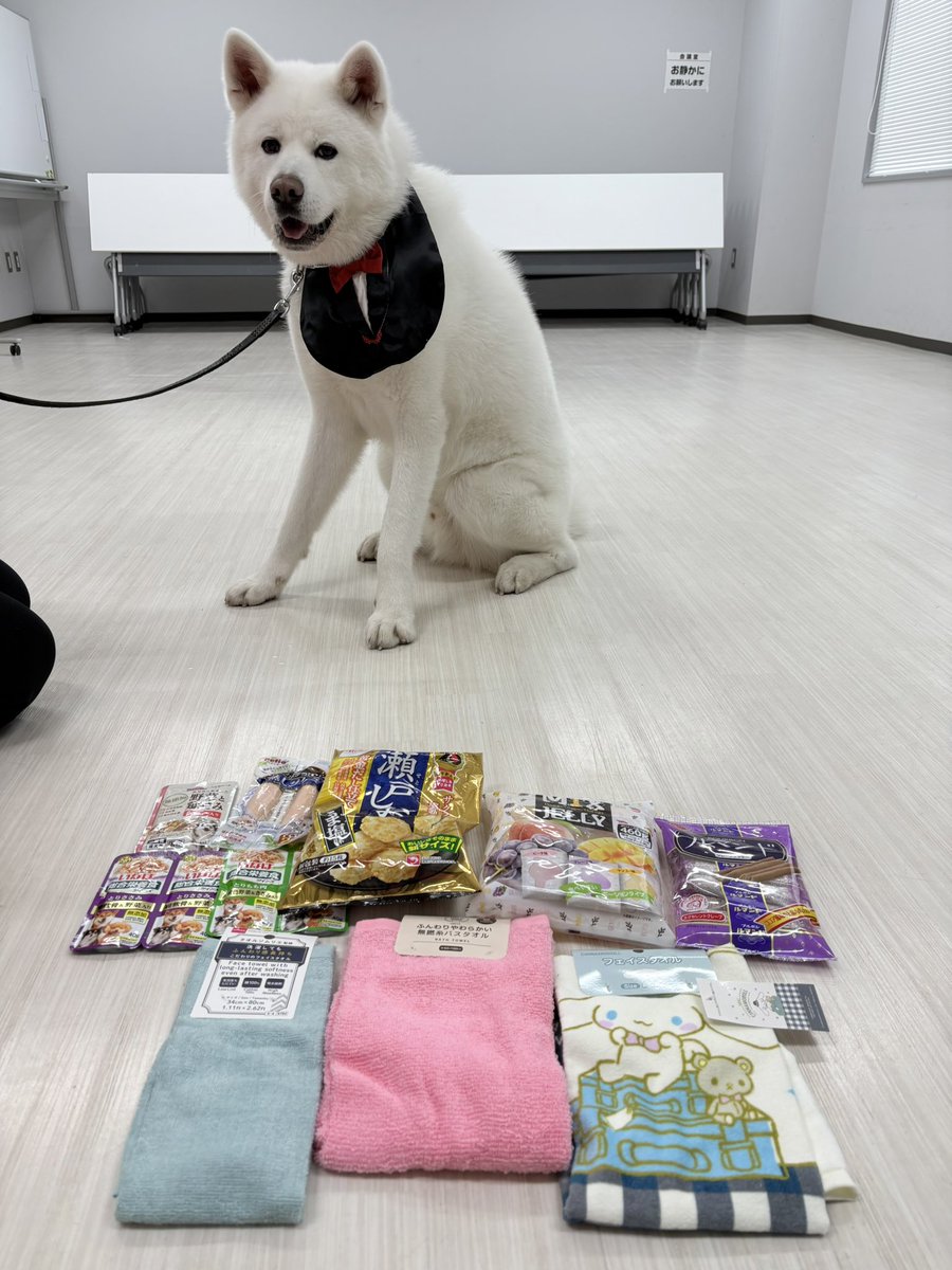 秋田犬の里【公式】 tweet media