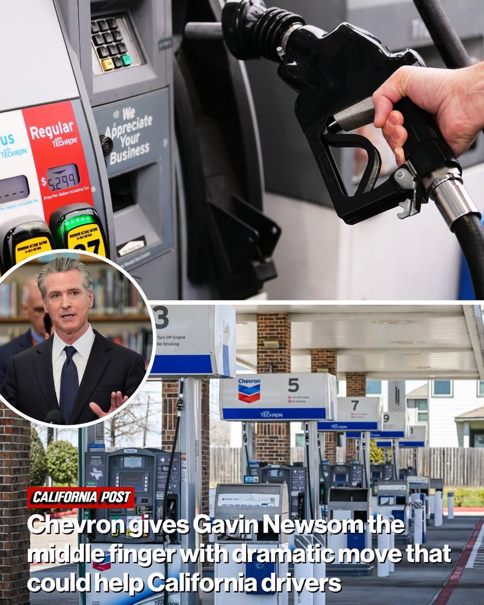 Mike Netter tweet media