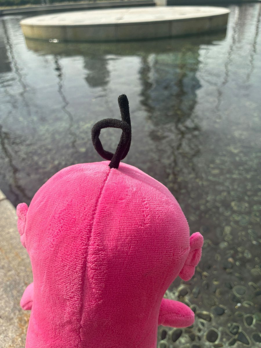 エビシー【公式】 tweet media