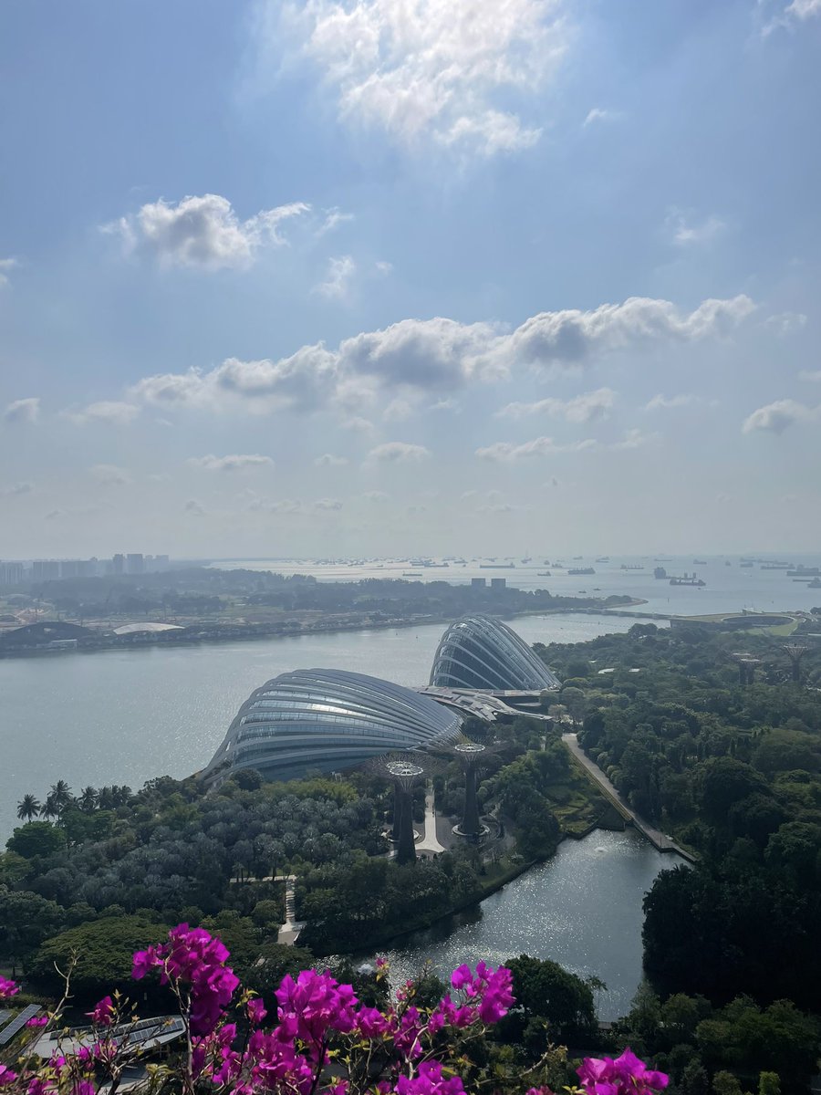 マネリテちゃん｜お金のはなし tweet media