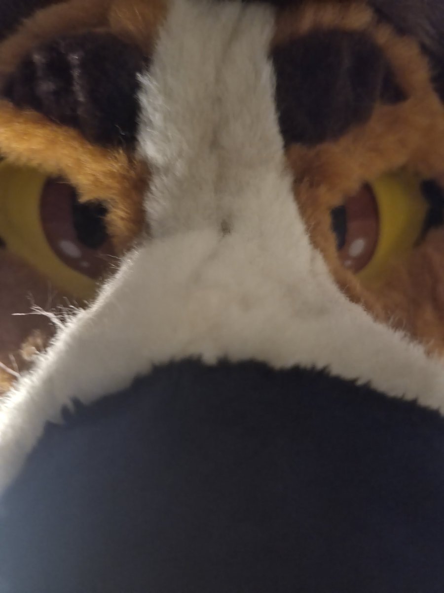 Rakucito 🔜 Megaplex tweet media