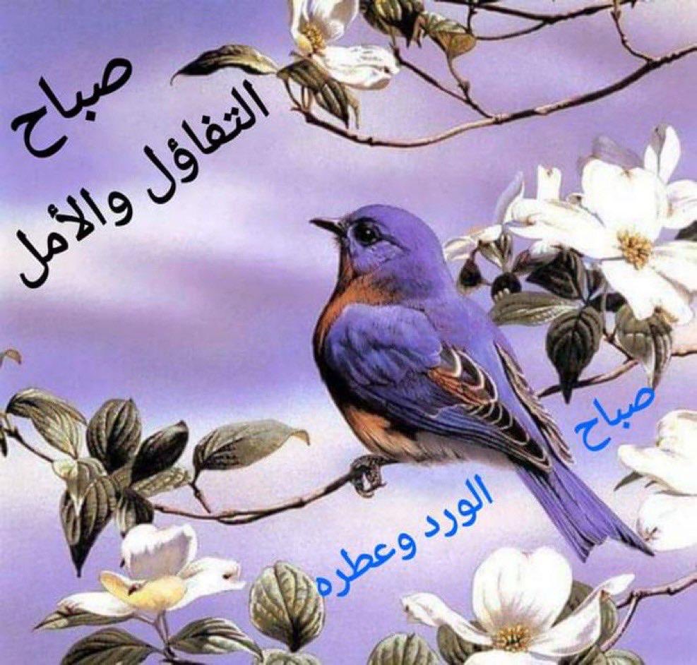 ريحانة tweet media