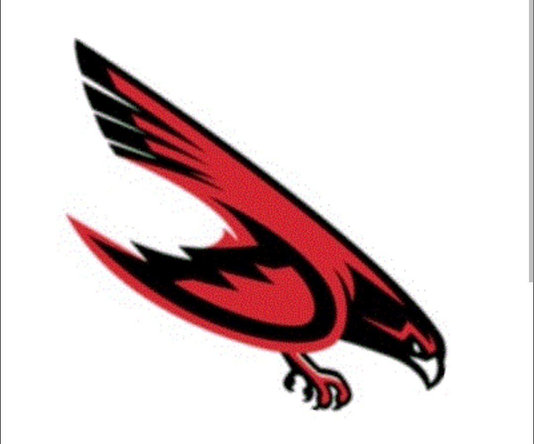 Dunedin HS Baseball tweet media