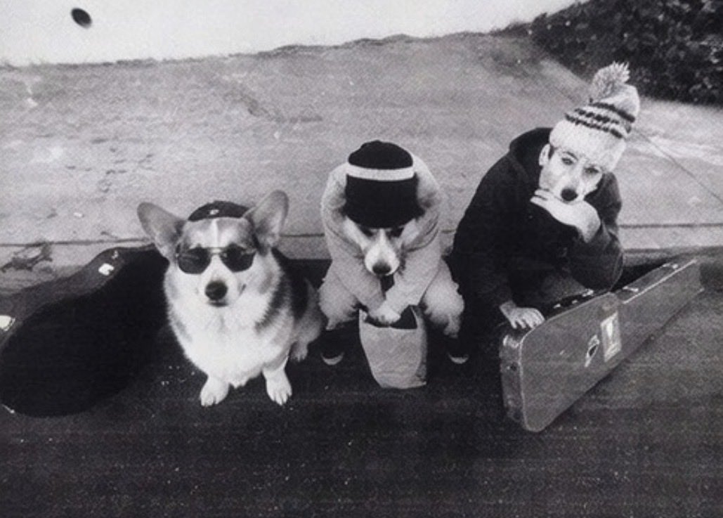 Saucie ⚫️ (Metro Arc) tweet media