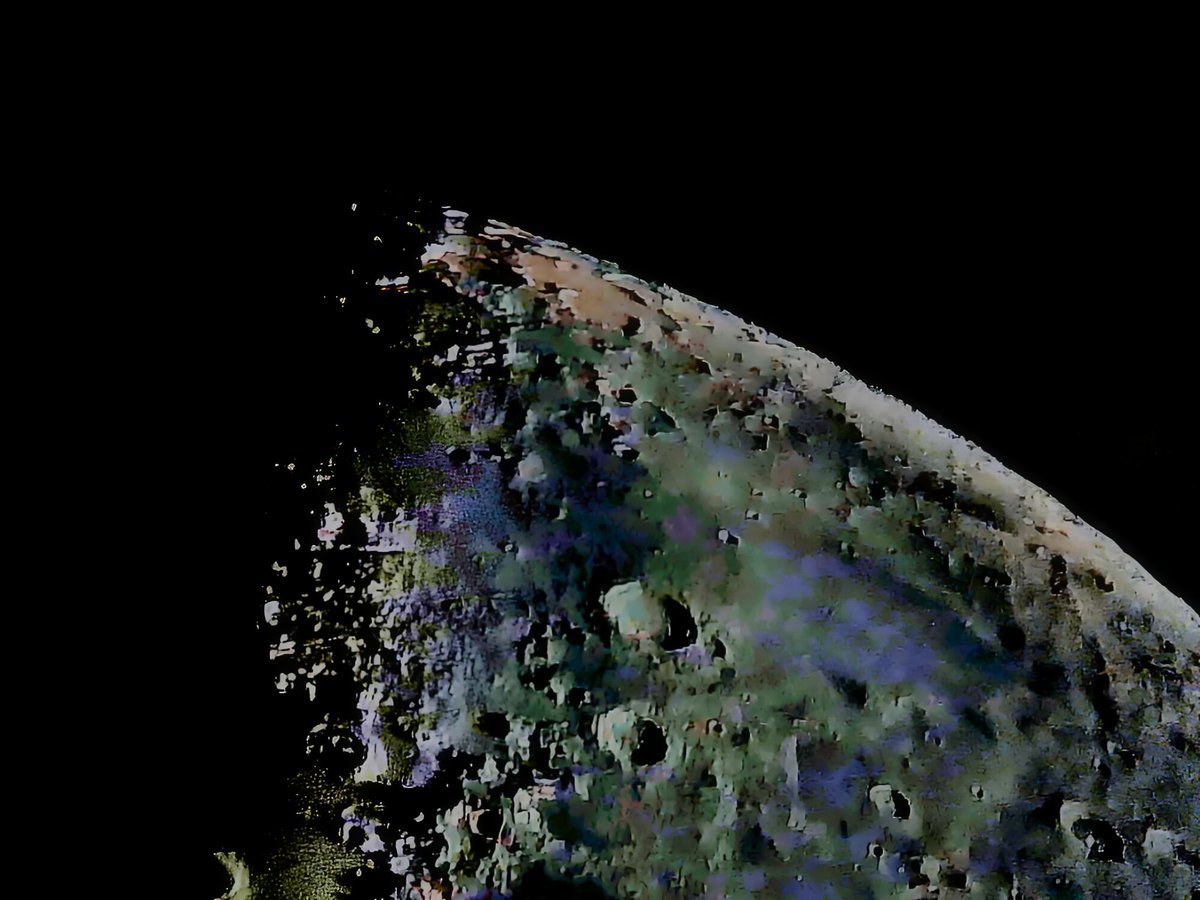 Anjuschka Prenzel tweet media