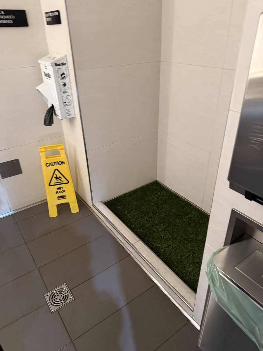 adam bain tweet media