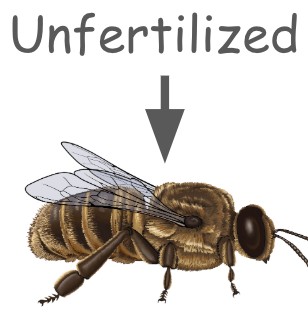 wtdinner tweet media