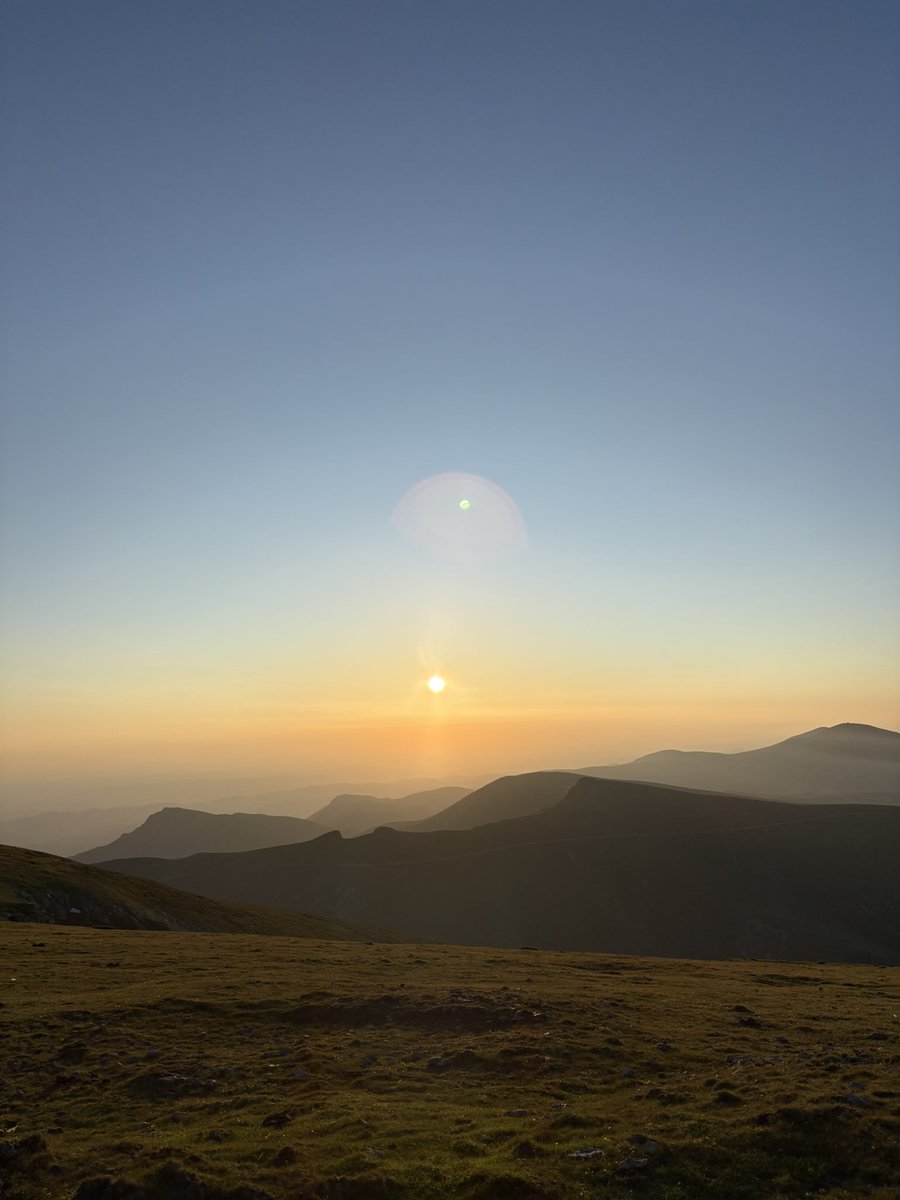 🌲Midwest Slayer⚡️ tweet media