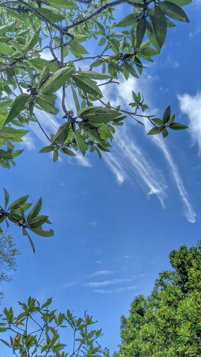 Viaa Olin tweet media