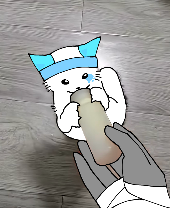 Vine #FREEWESTASIA tweet media