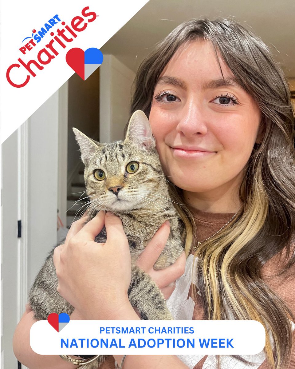 FeralCatProgramGA tweet media