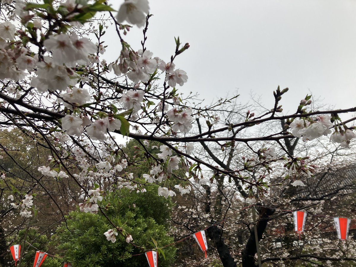 スカイツリー tweet media