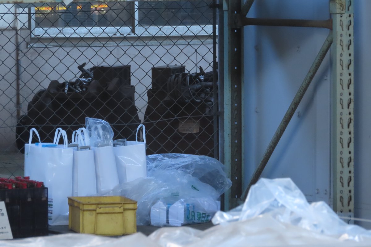 サメ線 tweet media