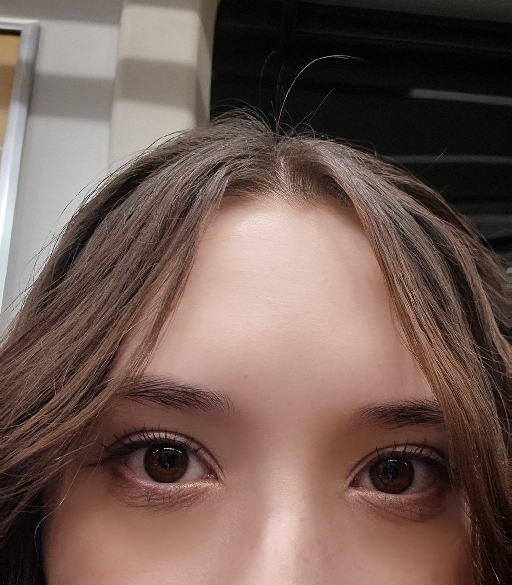 stressica tweet media