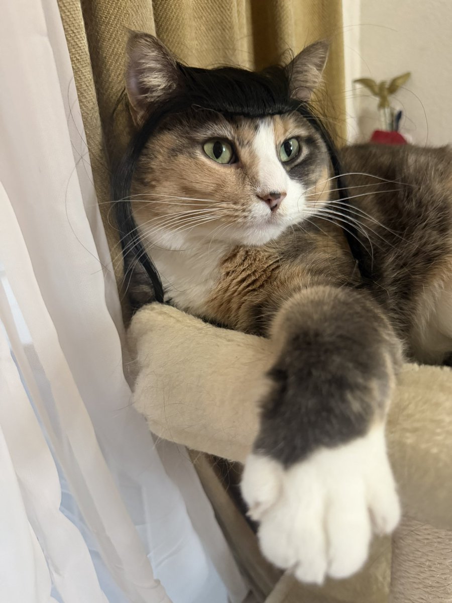 Steve Mudflap McGrew’s REMASCULATE podcast tweet media