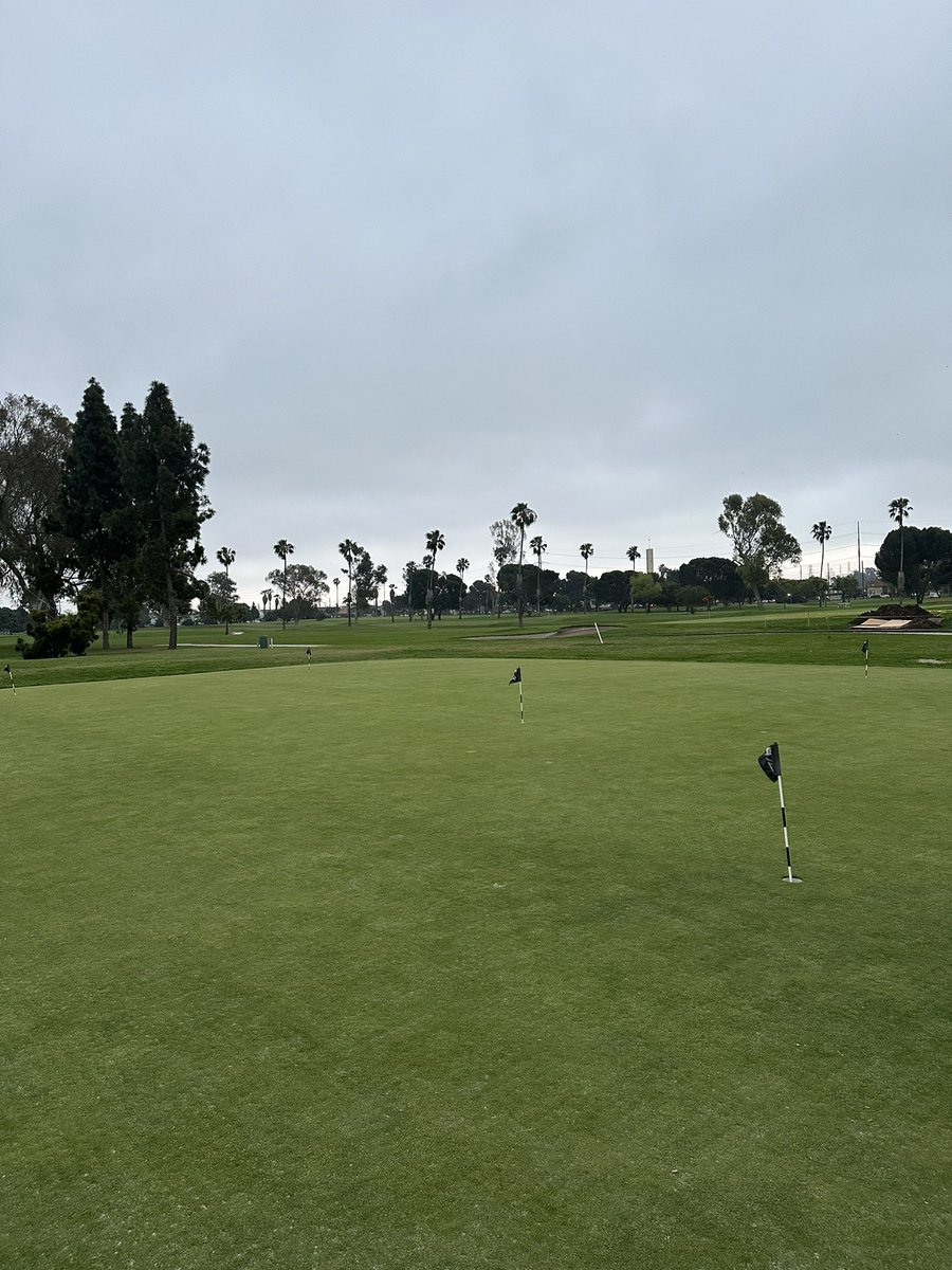 Panda Champ tweet media