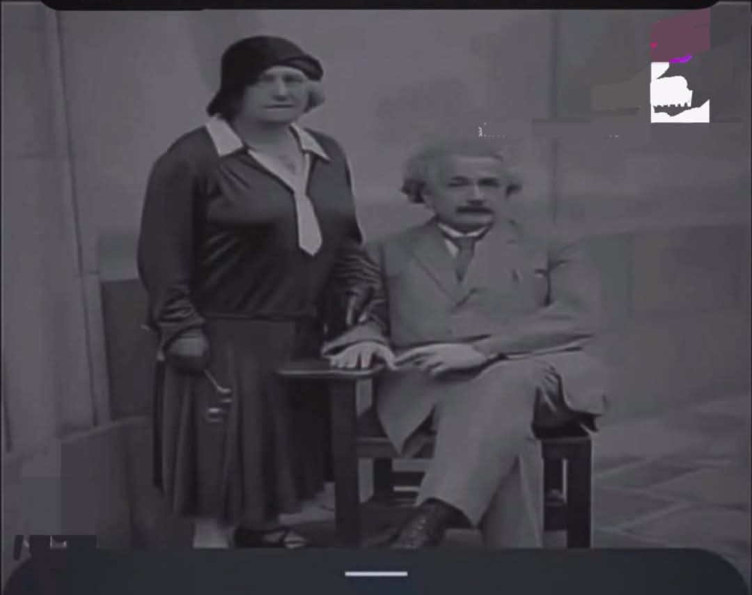 عيون المهاء tweet media