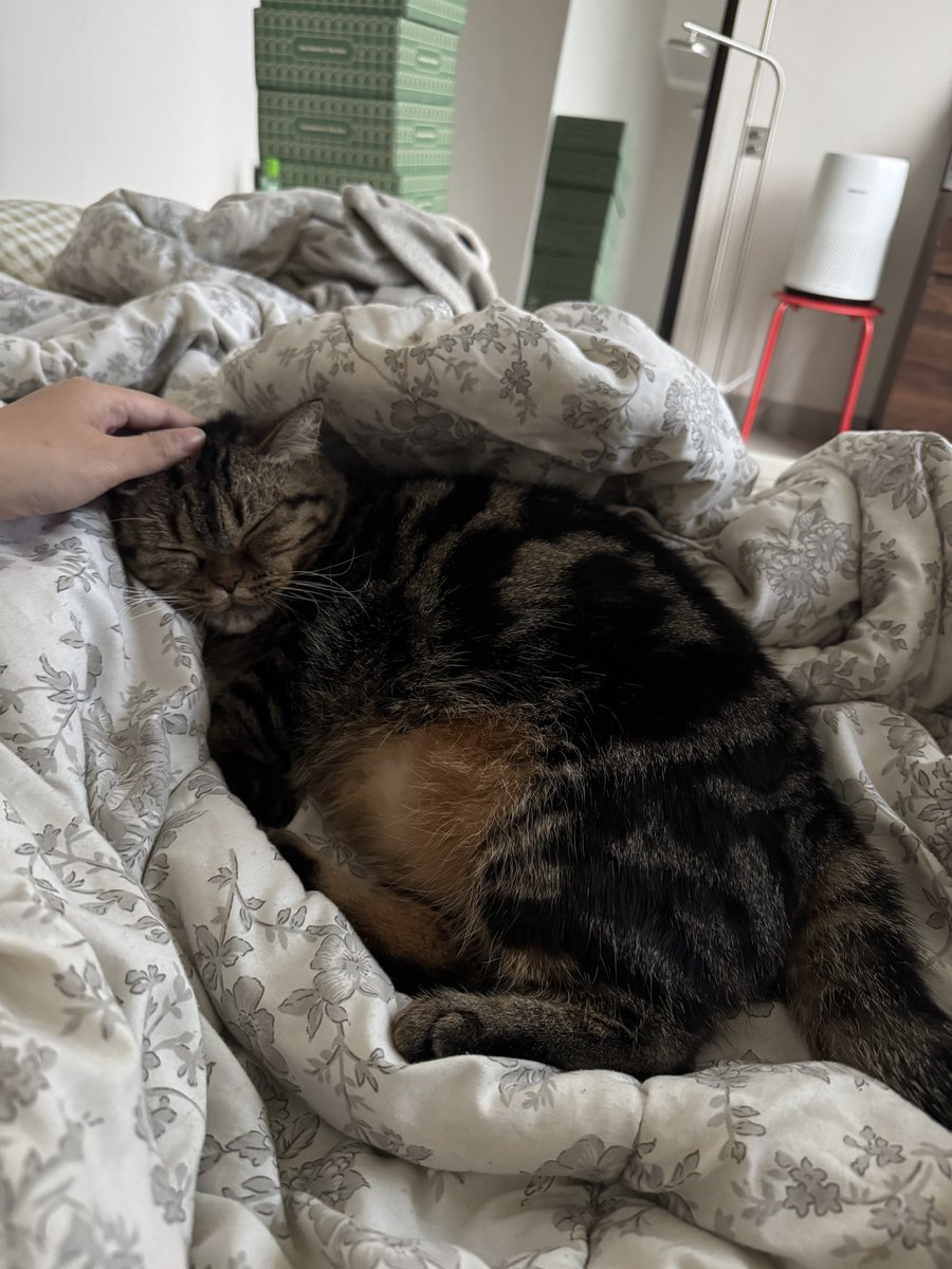 risty 👩🍳 tweet media